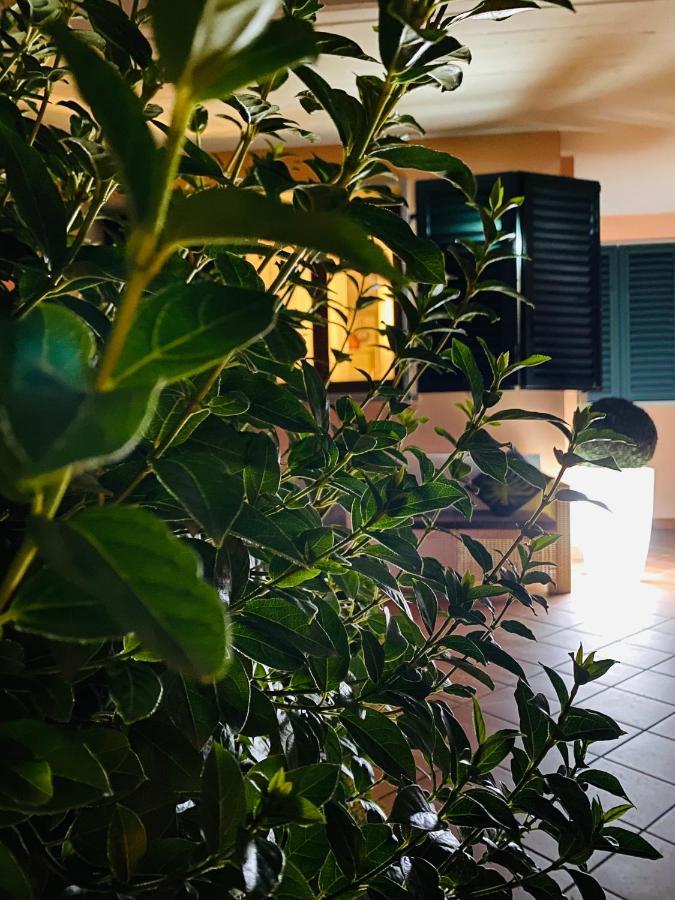 The Loft E&E Open Space إِمبولي المظهر الخارجي الصورة